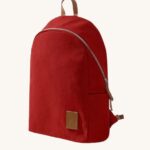 Travel Laptop Backpack
