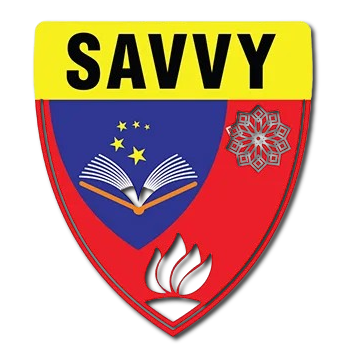 Savvy School