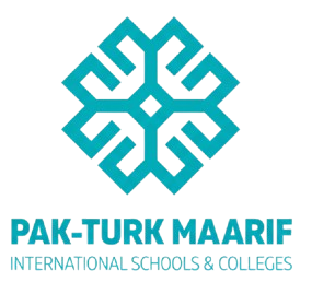 Pak Turk School